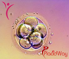 Slider image (6) Main Line Fertility Center